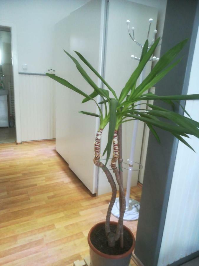 Zentral Gelegene Wohnung In Velbert-Mitte Exterior foto